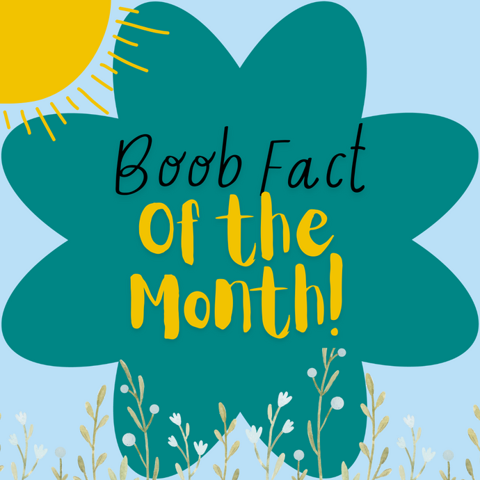 Boob Fact of the Month - April ☀️