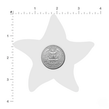 Load image into Gallery viewer, Size guide size chart for the Starfish: Twinkling Seafoam Green & Pink Print Sea Star Nipple Pasties by Pastease® on a white background.