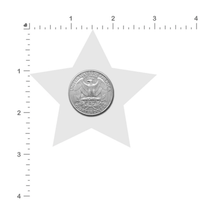 Load image into Gallery viewer, Size guide for the Star: Black Glitter Star with White Glow in the Dark Web Nipple Pasties by Pastease on a white background.